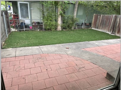 CAR Backyard